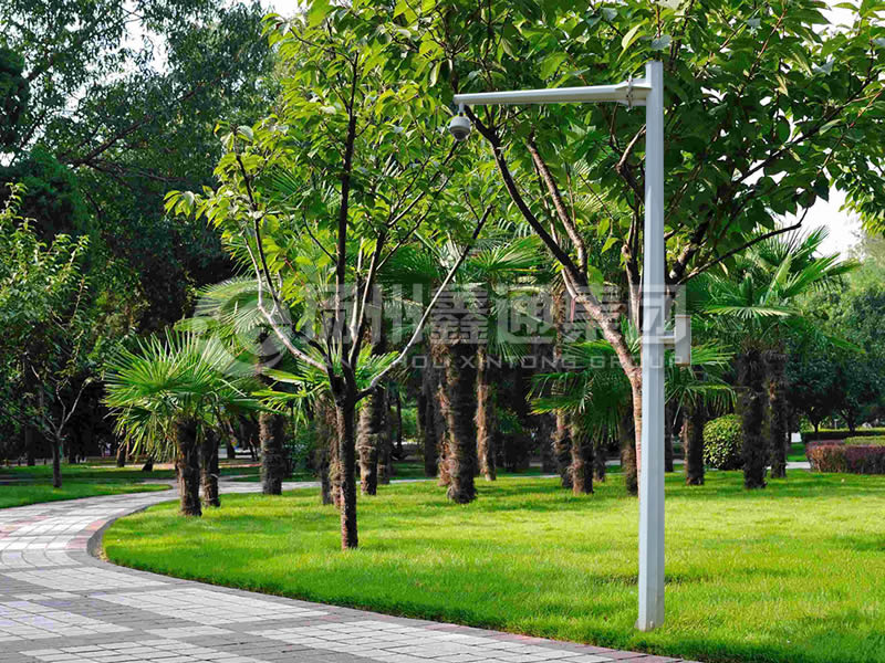 DJG-022，電子警察桿，八棱懸臂球機桿