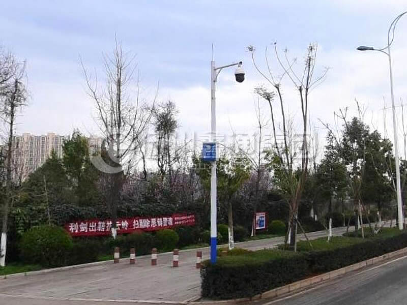 DJG-025，電子警察桿，治安監(jiān)控桿